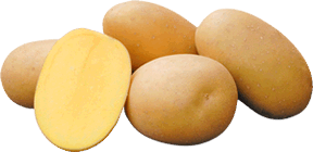 Potato footer image